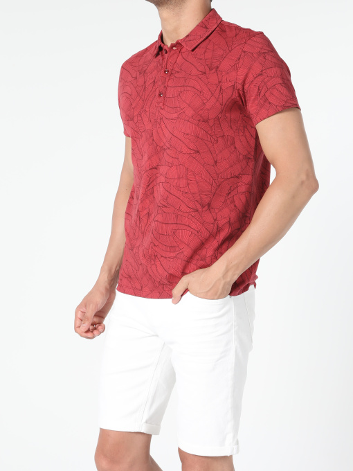 Футболки і поло Colin’s модель CL1052873_Q1.V1_TER Фото