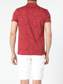 Футболки і поло Colin’s модель CL1052873_Q1.V1_TER Фото