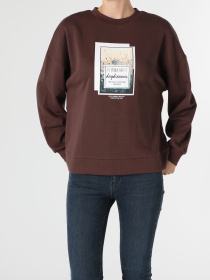 Кофты и свитера Colin’s модель CL1055926_Q1.V1_BRW Фото