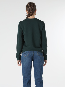 Кофты и свитера Colin’s модель CL1052020_Q1.V1_PGR Фото