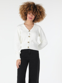 Худи и свитшоты Colin’s модель CL1057374_Q1.V1_OFW Фото