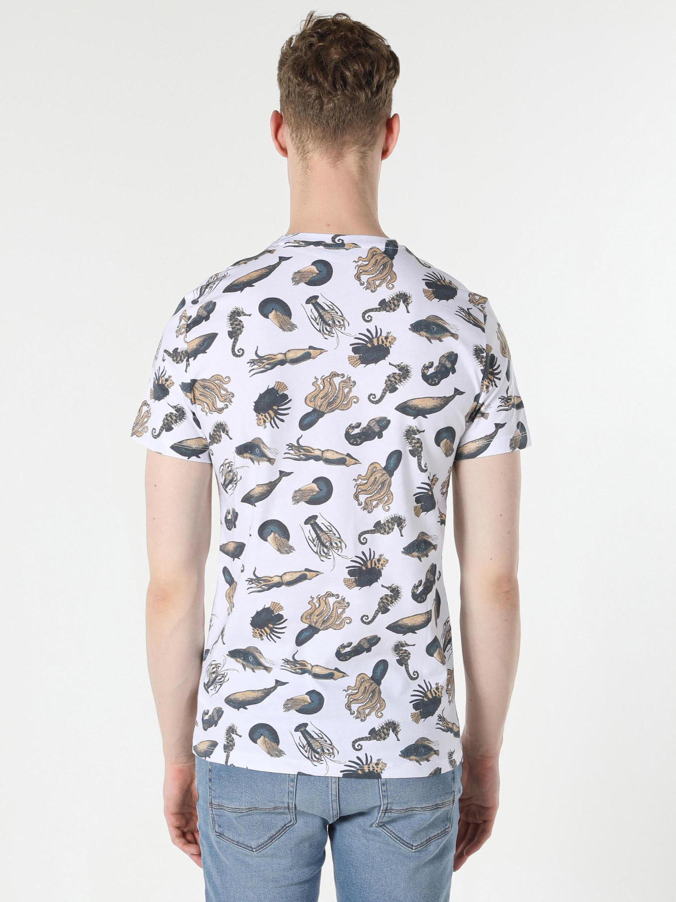 Футболки и поло Colin’s модель CL1057501_Q1.V1_OFW Фото