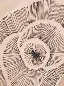 Свитшот RicaMare модель RMD2273-20-2DC Фото