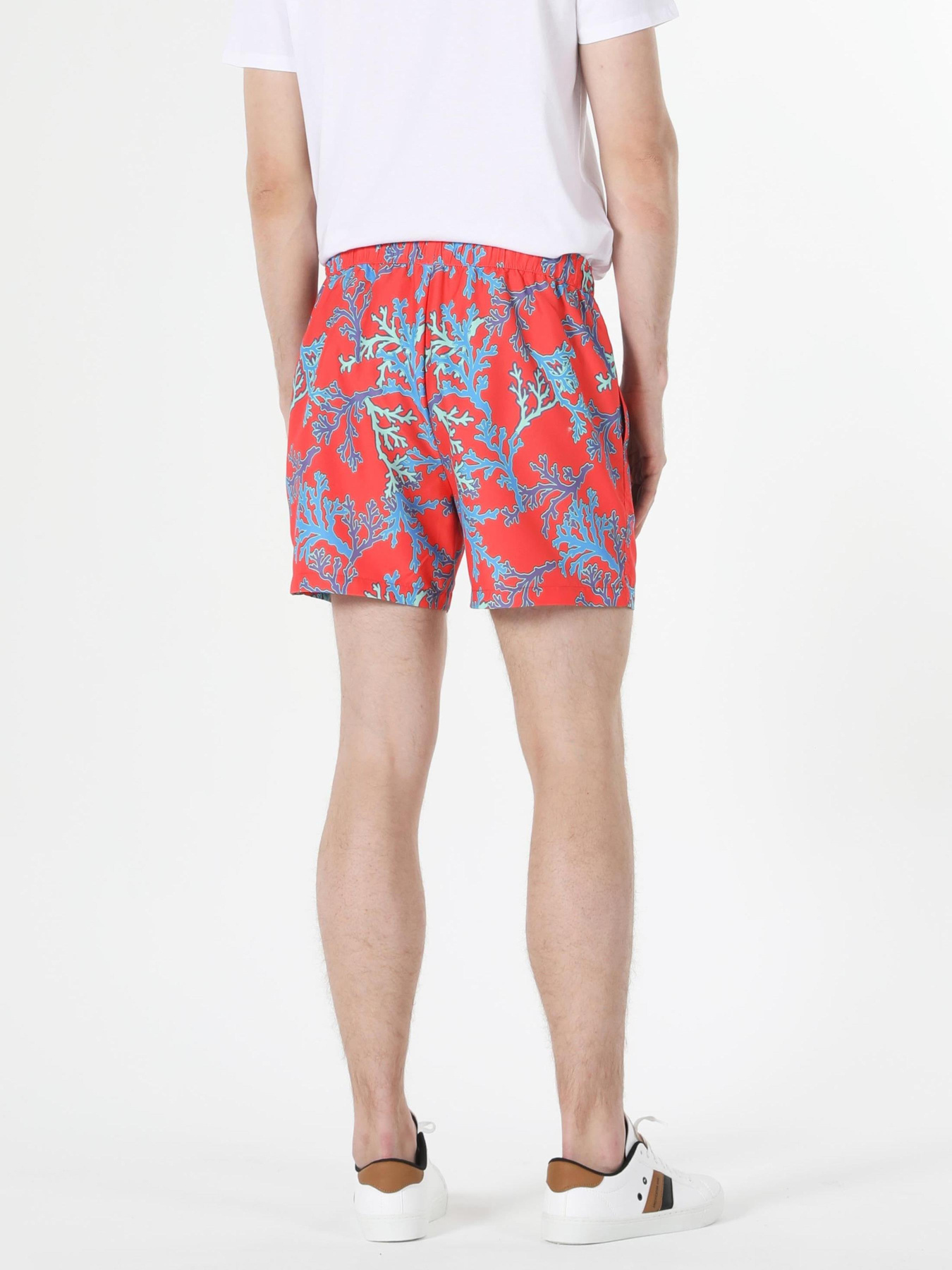 Одяг для пляжу Colin’s модель CL1057956_Q1.V1_CRL Фото