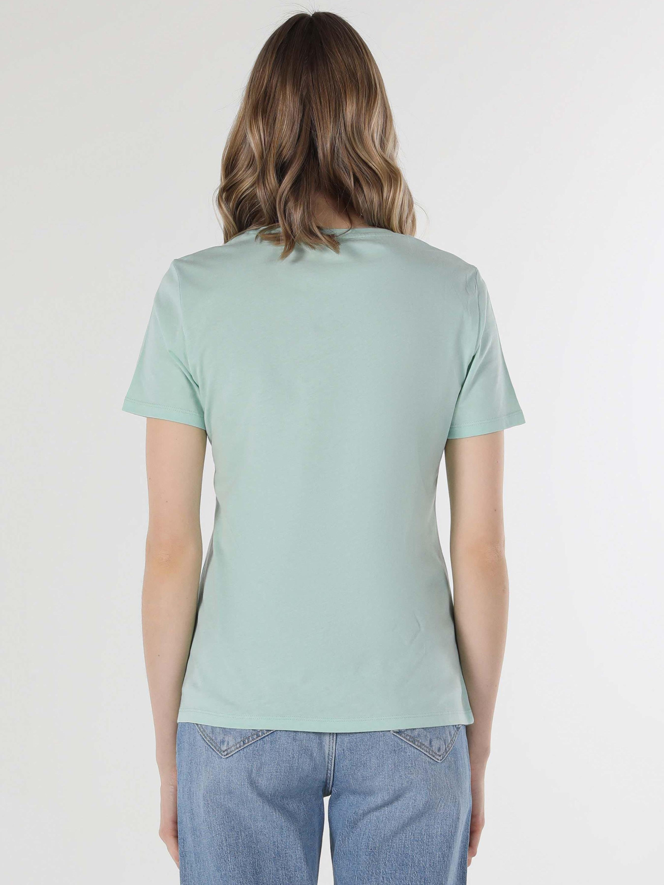 Футболки и поло Colin’s модель CL1058796_Q1.V1_MGR Фото