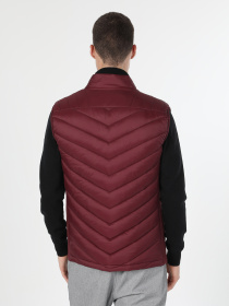 Куртки та дублянки Colin’s модель CL1045390_Q1.V1_BRD Куртки та дублянки Colin’s модель CL1045390_Q1.V1_BRD Фото