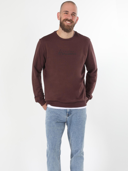 Худи и свитшоты Colin’s модель CL1060129_Q1.V1_PLM Фото