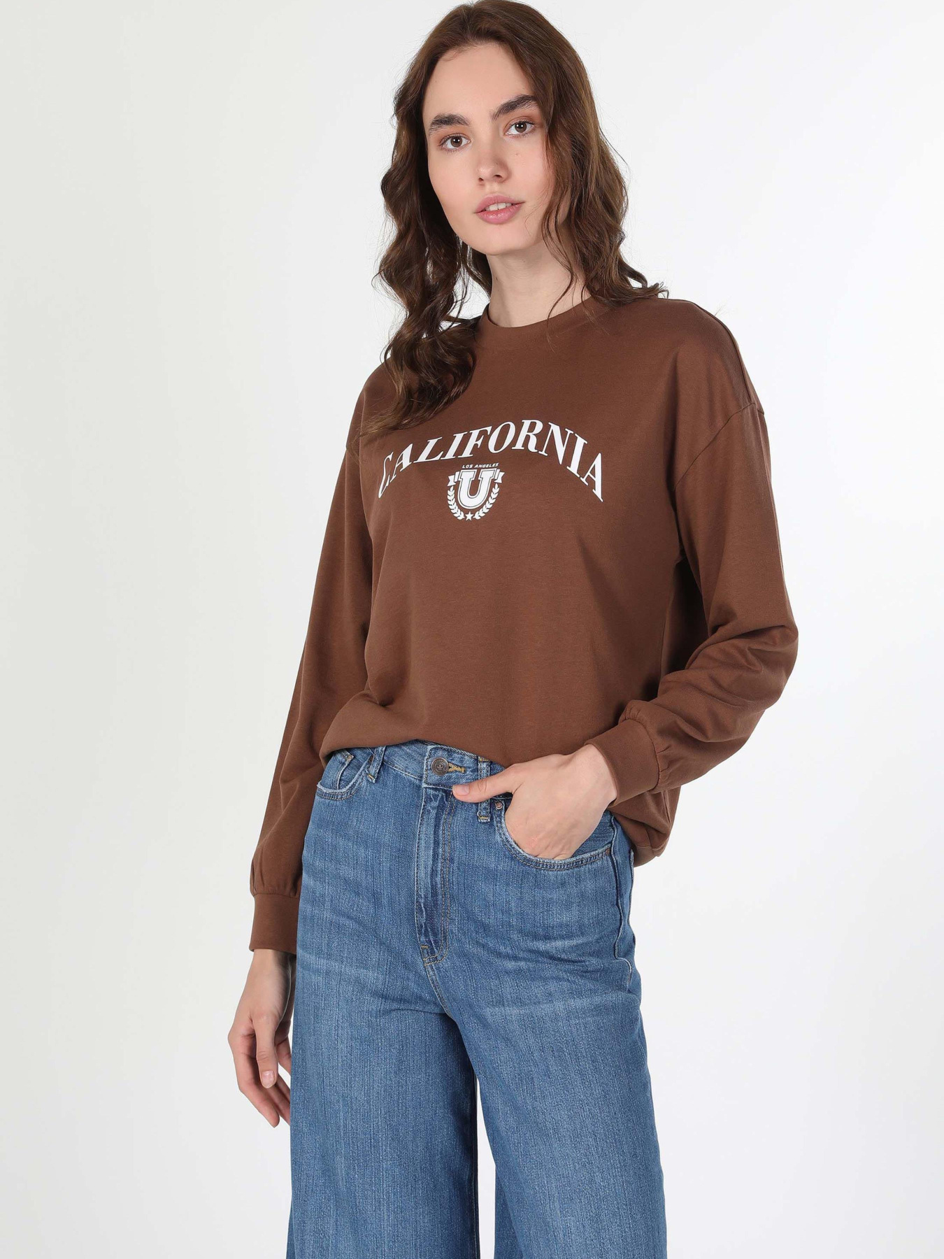 Кофты и свитера Colin’s модель CL1060315_Q1.V1_BRW Фото