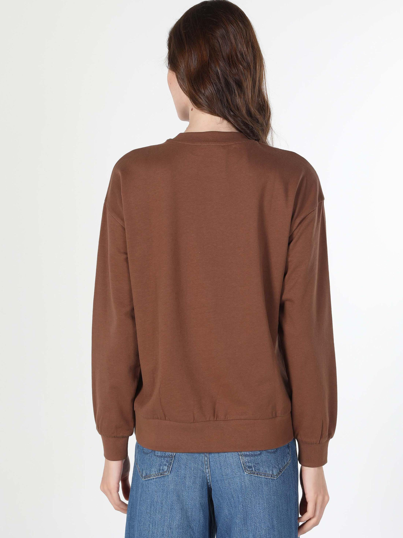 Худи и свитшоты Colin’s модель CL1060315_Q1.V1_BRW Фото