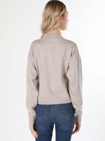 Худи и свитшоты Colin’s модель CL1060687_Q1.V1_BEI Фото