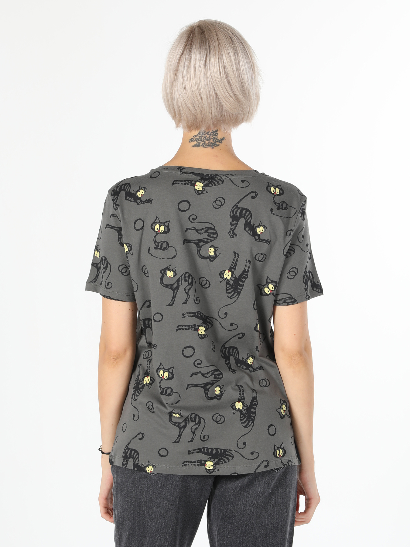 Футболки и поло Colin’s модель CL1060450_Q1.V1_ANT Фото