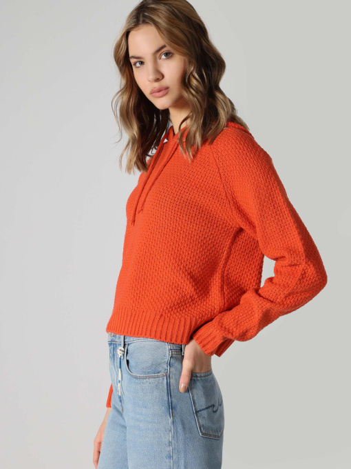 Кофты и свитера Colin’s модель CL1062436_Q1.V1_BOR Фото