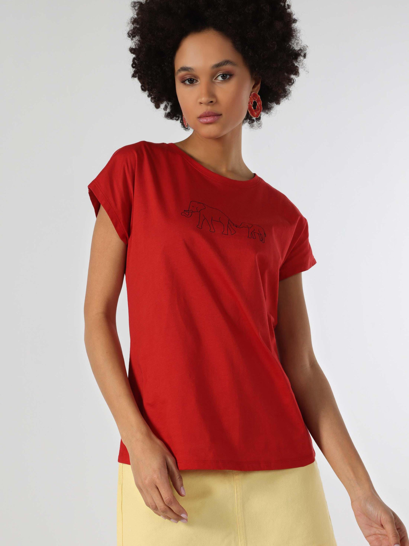 Футболки и поло Colin’s модель CL1063440_Q1.V1_BRC Фото