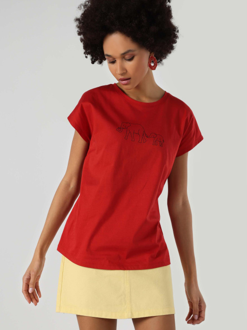 Футболки и поло Colin’s модель CL1063440_Q1.V1_BRC Фото