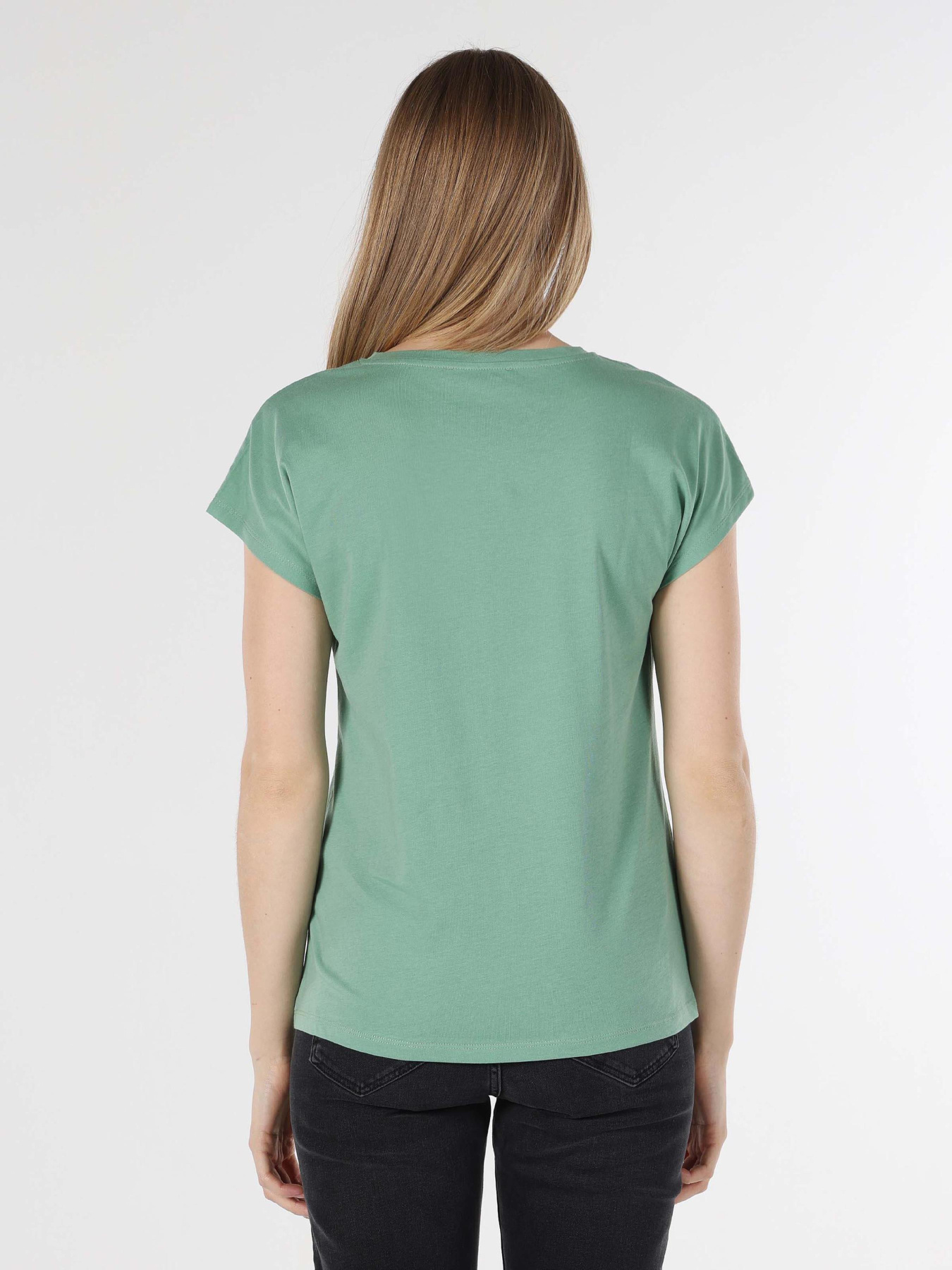 Футболки и поло Colin’s модель CL1063441_Q1.V1_MGR Фото