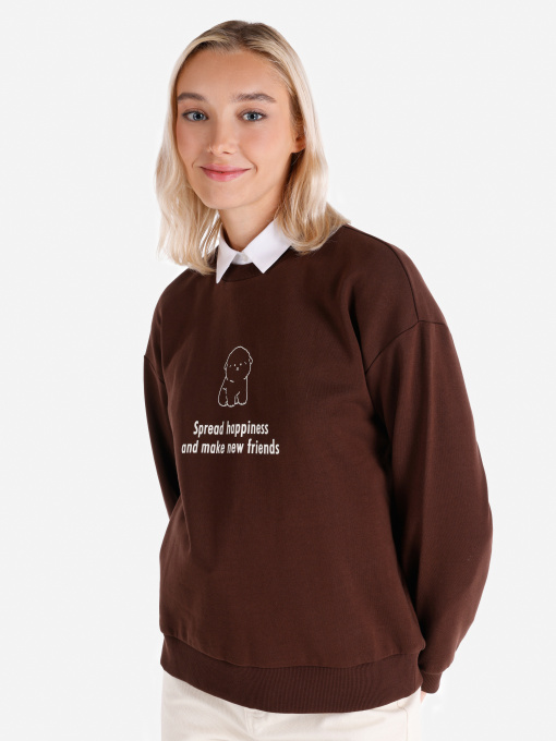 Худи и свитшоты Colin’s модель CL1065884_Q1.V1_BRW Фото