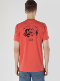 Футболки і поло Colin’s модель CL1063113_Q1.V1_CRL Фото