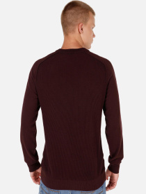 Кофты и свитера Colin’s модель CL1071309_Q1.V1_BRD Фото