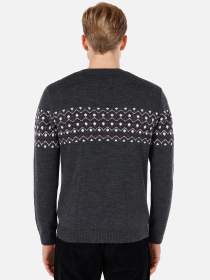 Худі та світшоти Colin’s модель CL1071694_Q1.V1_ANM Худі та світшоти Colin’s модель CL1071694_Q1.V1_ANM Фото