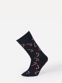 Носки и гольфы Colin’s модель CL1071401_Q1.V1_NAV Фото