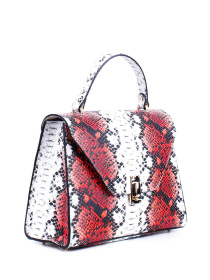 Сумка Bella Bertucci модель 3051-13-35 Фото