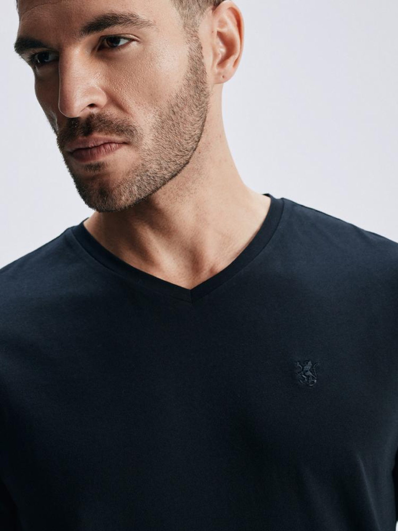 Футболка DIVERSE V Neck 251 модель 10046178 Фото