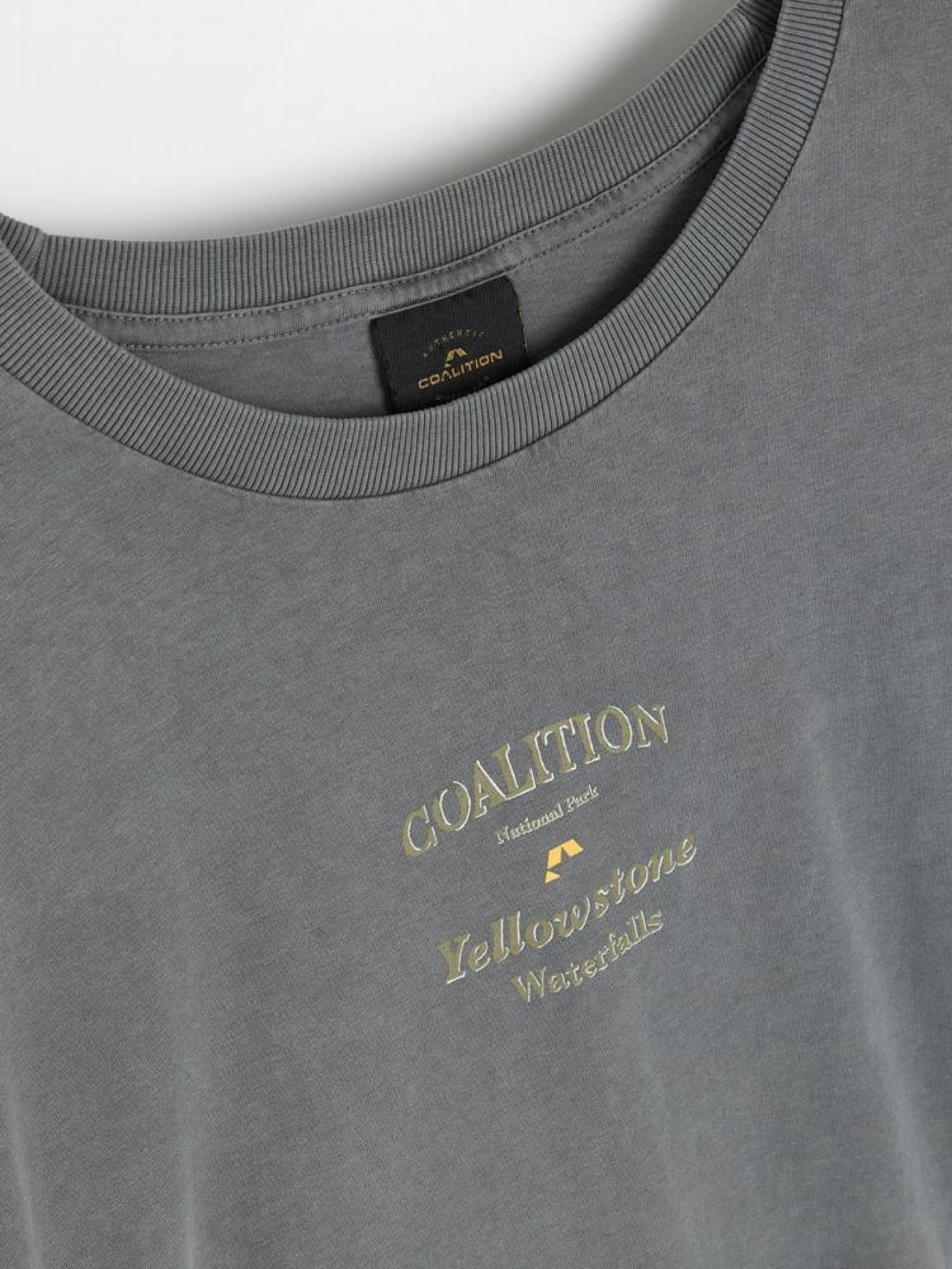 Футболка DIVERSE Cltn Wash 03 модель 10045886 Фото