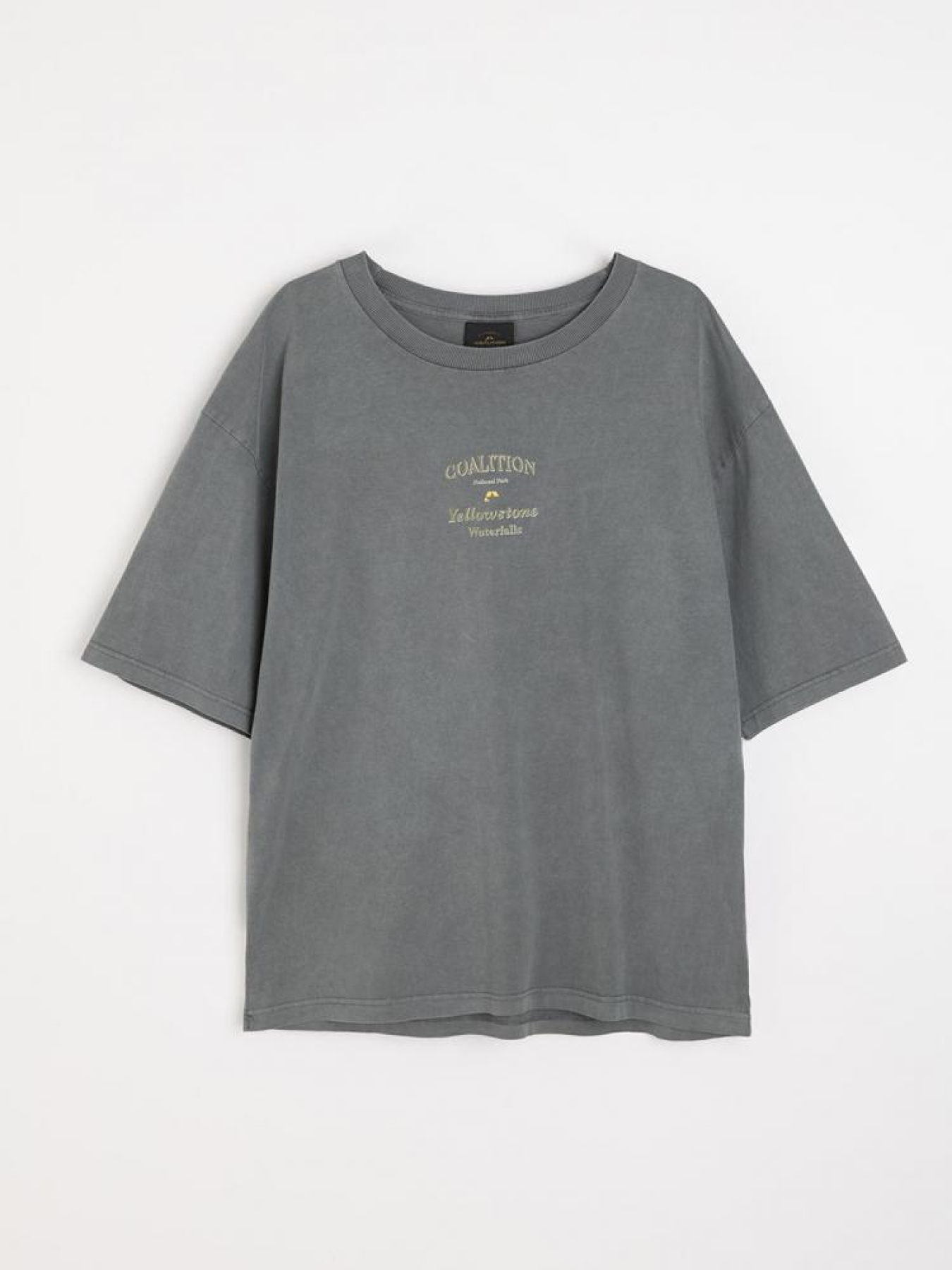 Футболка DIVERSE Cltn Wash 03 модель 10045886 Фото