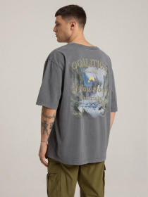 Футболка DIVERSE Cltn Wash 03 модель 10045886 Фото