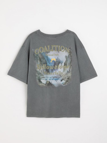 Футболка DIVERSE Cltn Wash 03 модель 10045886 Фото