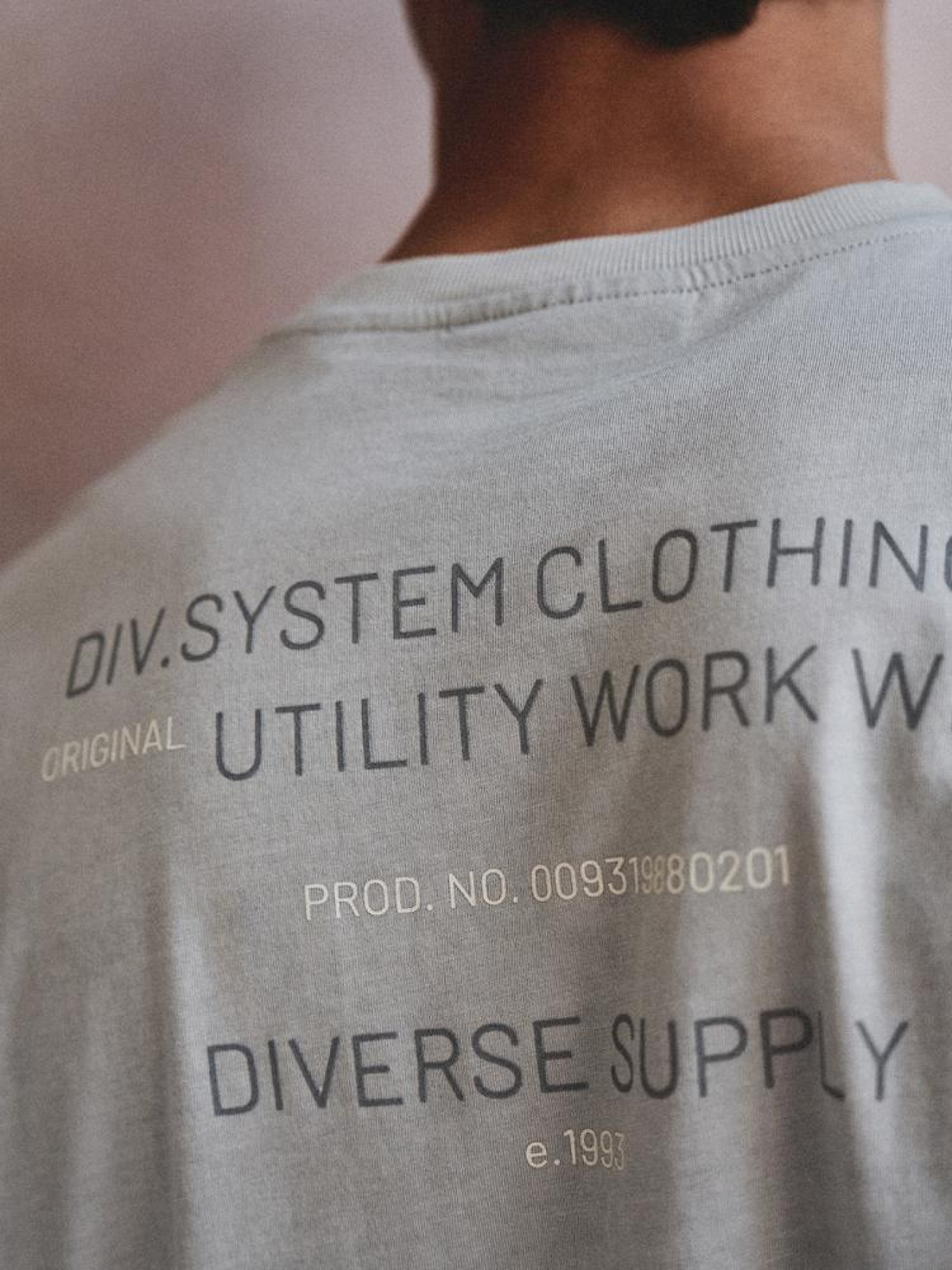 Футболка DIVERSE Sys Core Wash модель 10044981 Фото