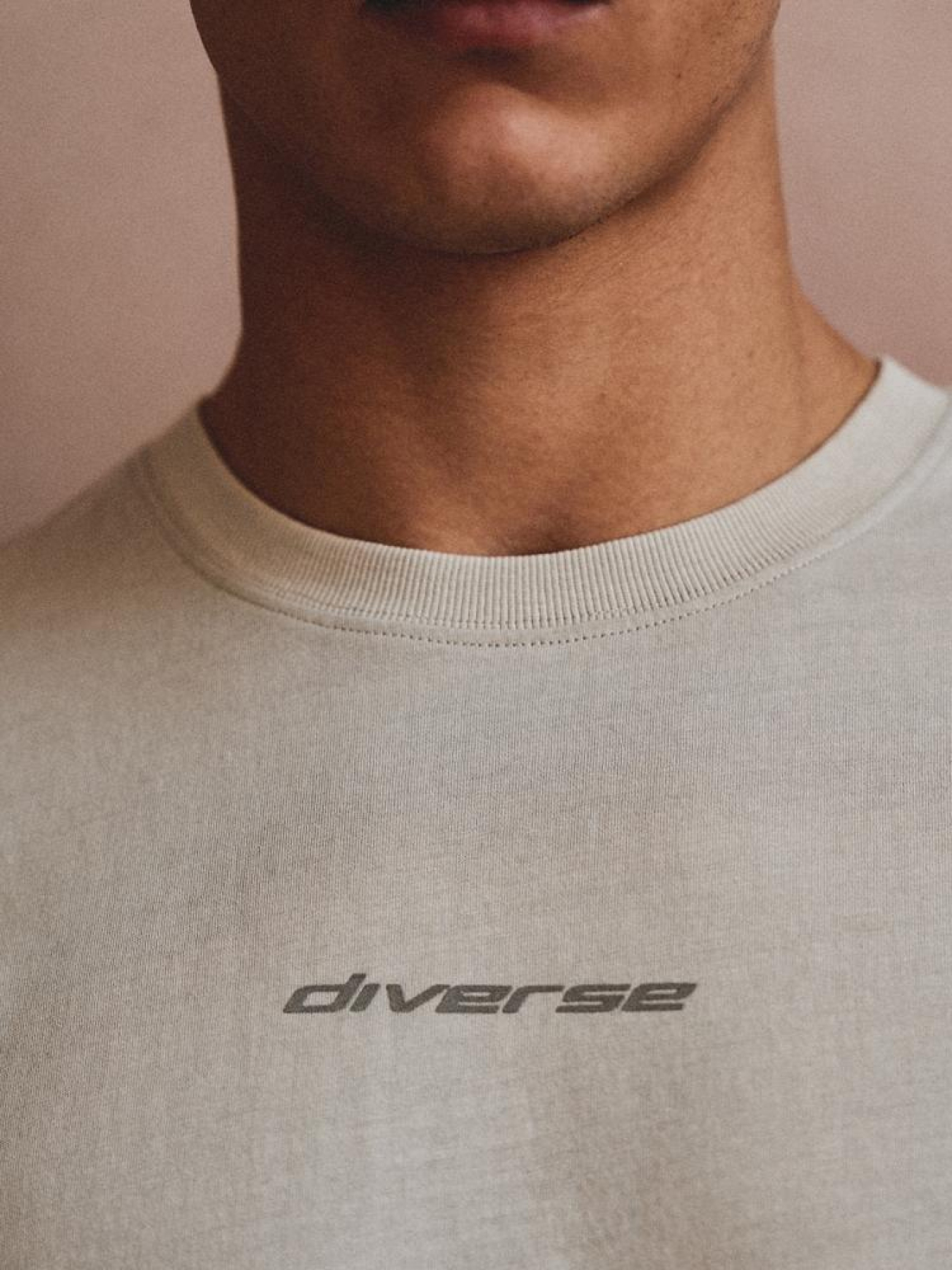 Футболка DIVERSE Sys Core Wash модель 10044981 Футболка DIVERSE Sys Core Wash модель 10044981 Фото