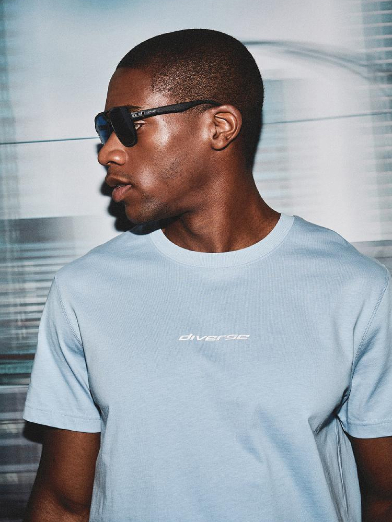 Футболка DIVERSE Sys Core 02 модель 10044980 Фото