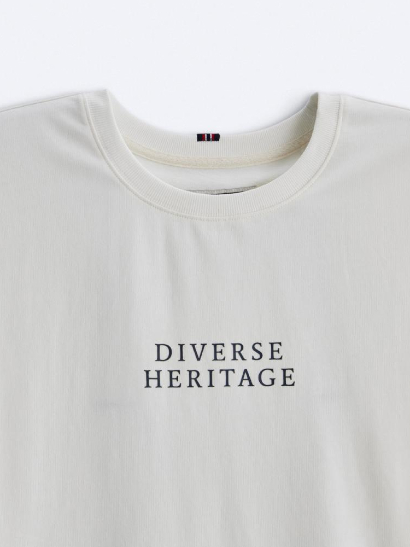 Футболка DIVERSE Princeton модель 10044974 Фото