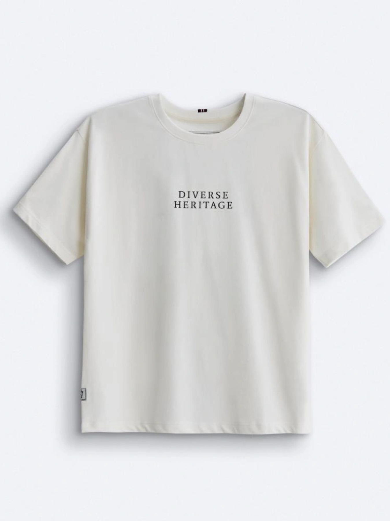 Футболка DIVERSE Princeton модель 10044974 Фото