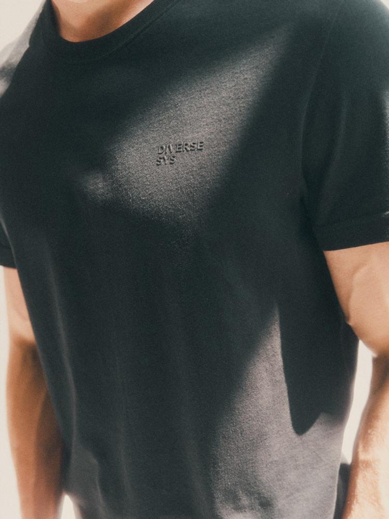 Футболка DIVERSE Evb Tee 244 модель 10044968 Фото