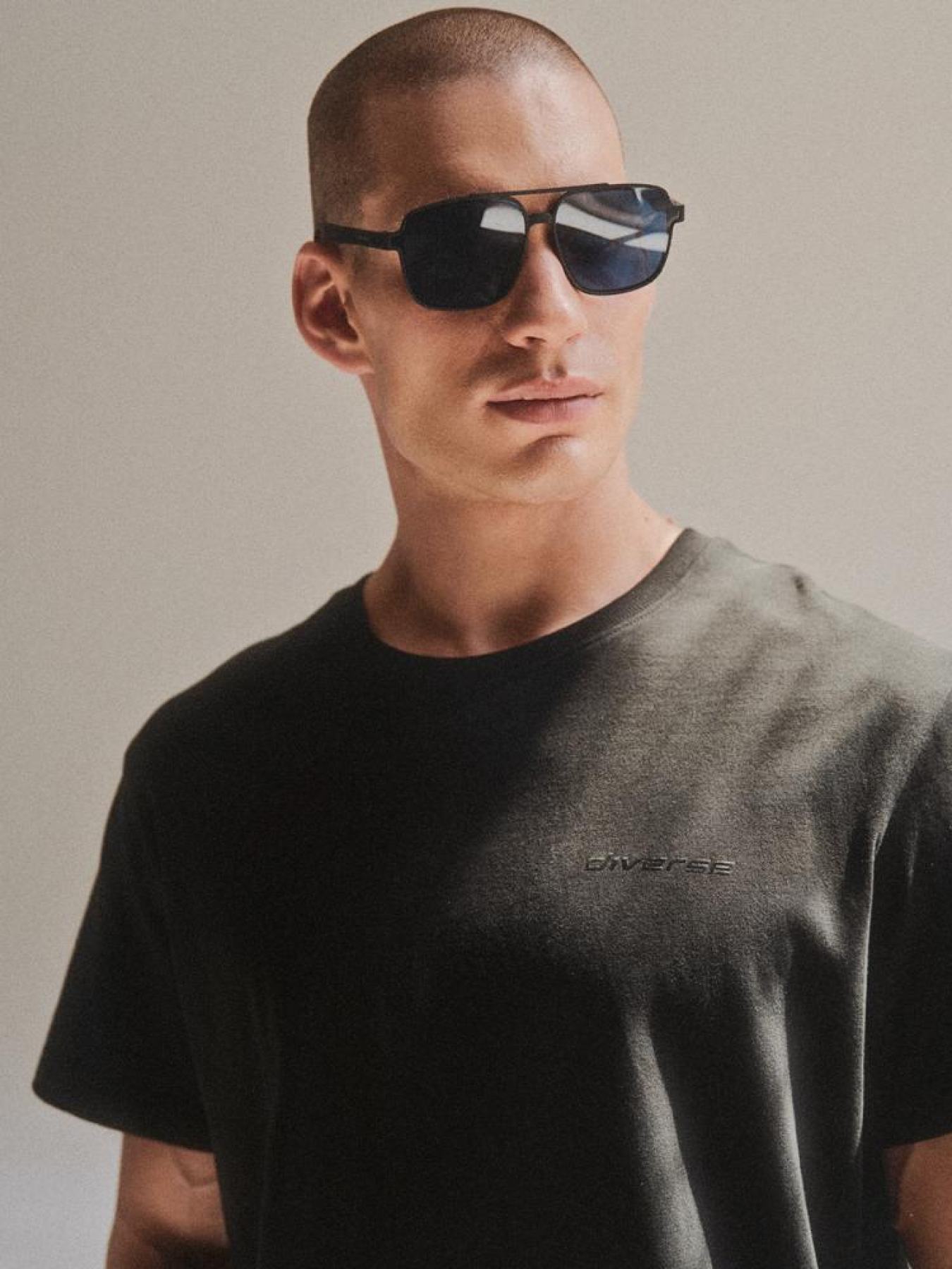 Футболка DIVERSE Core Logos 248 модель 10044963 Фото