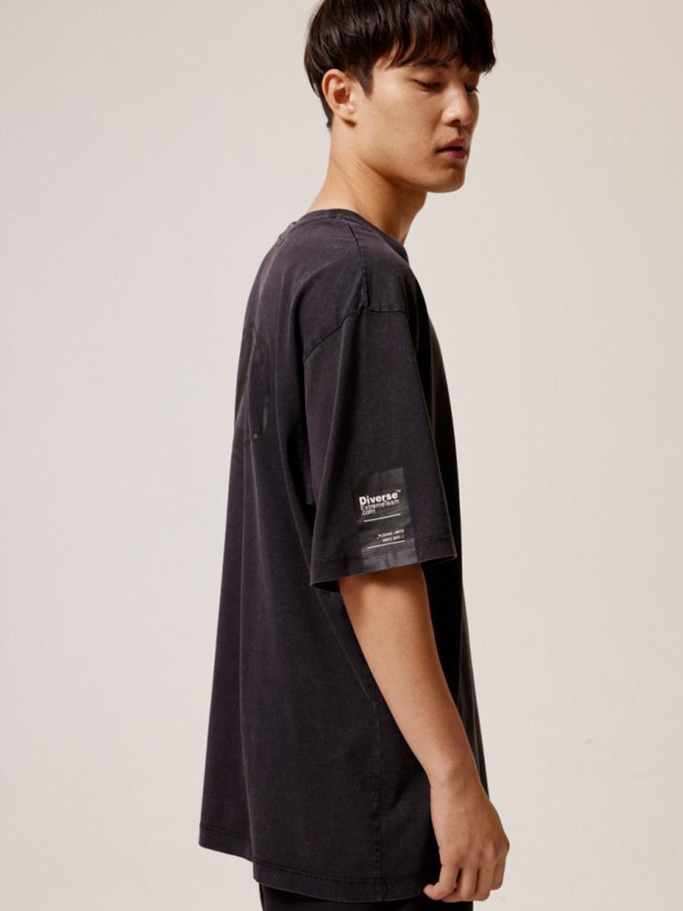 Футболка DIVERSE Dext Wash 02 модель 10044548 Фото