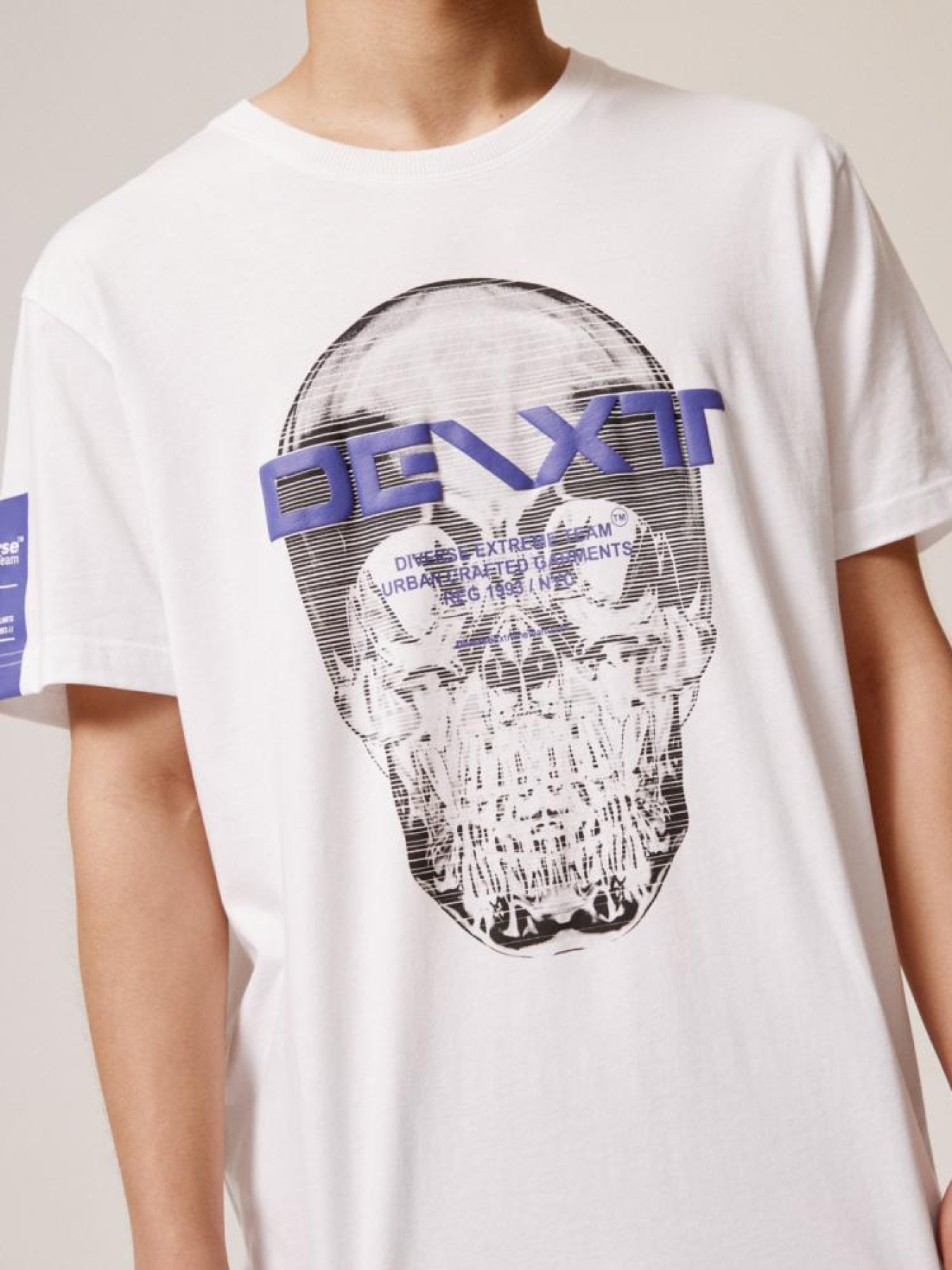 Футболка DIVERSE Dext Skull D модель 10044530 Фото