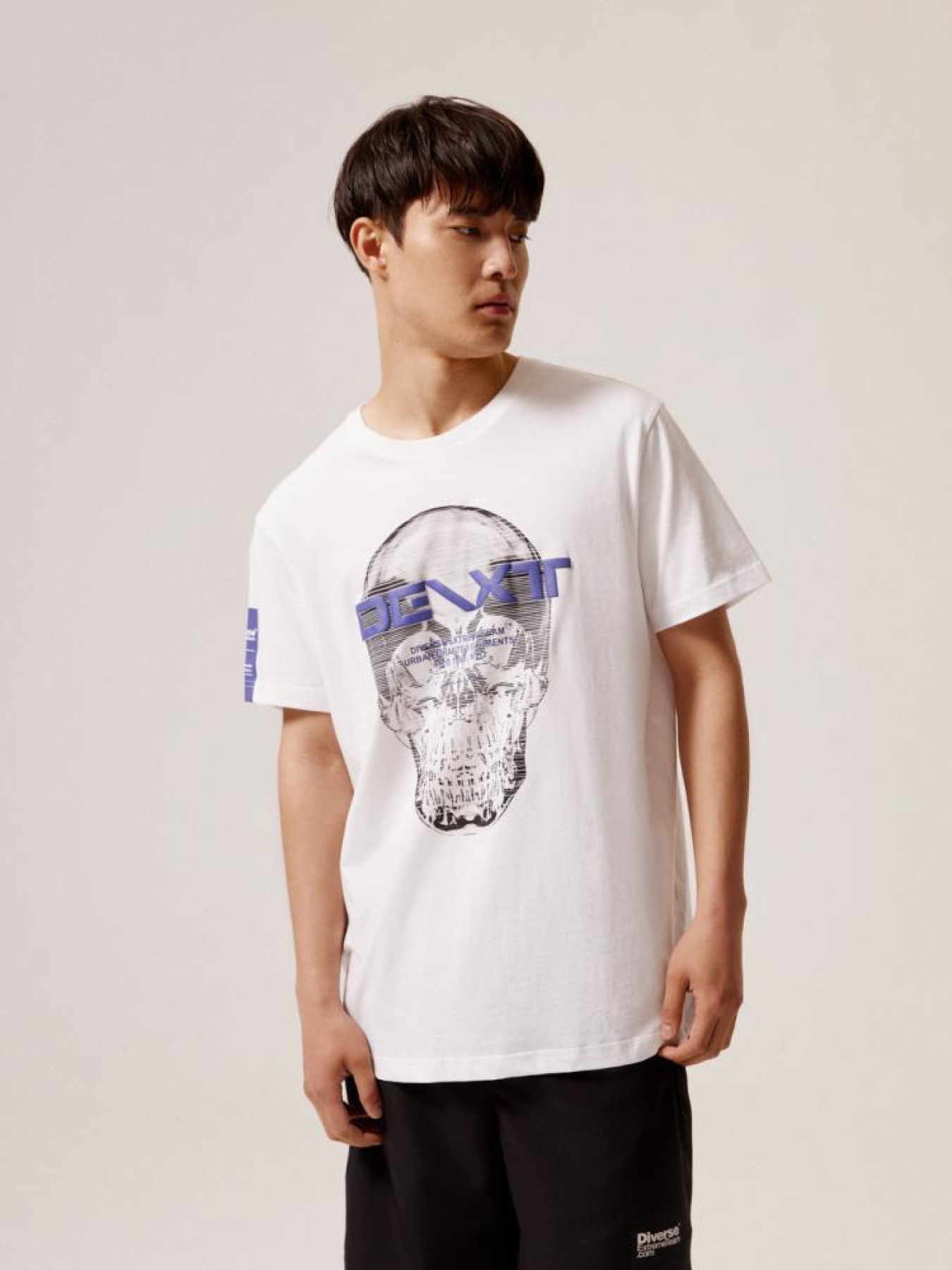 Футболка DIVERSE Dext Skull D модель 10044530 Фото