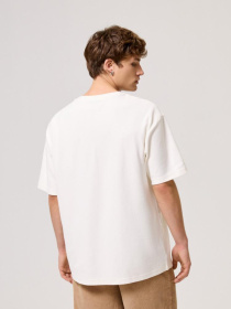 Футболка DIVERSE Cltn T 1724 модель 10044513 Фото