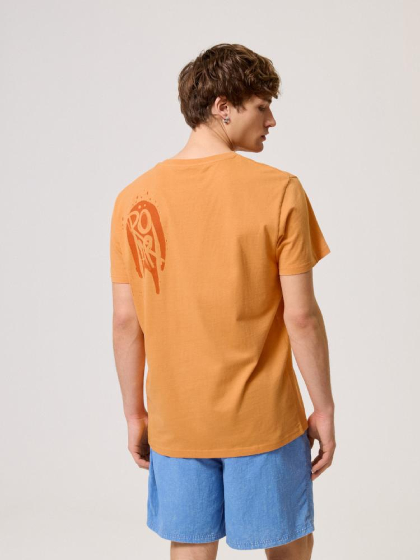 Футболка DIVERSE Cltn T 1624 модель 10044511 Фото