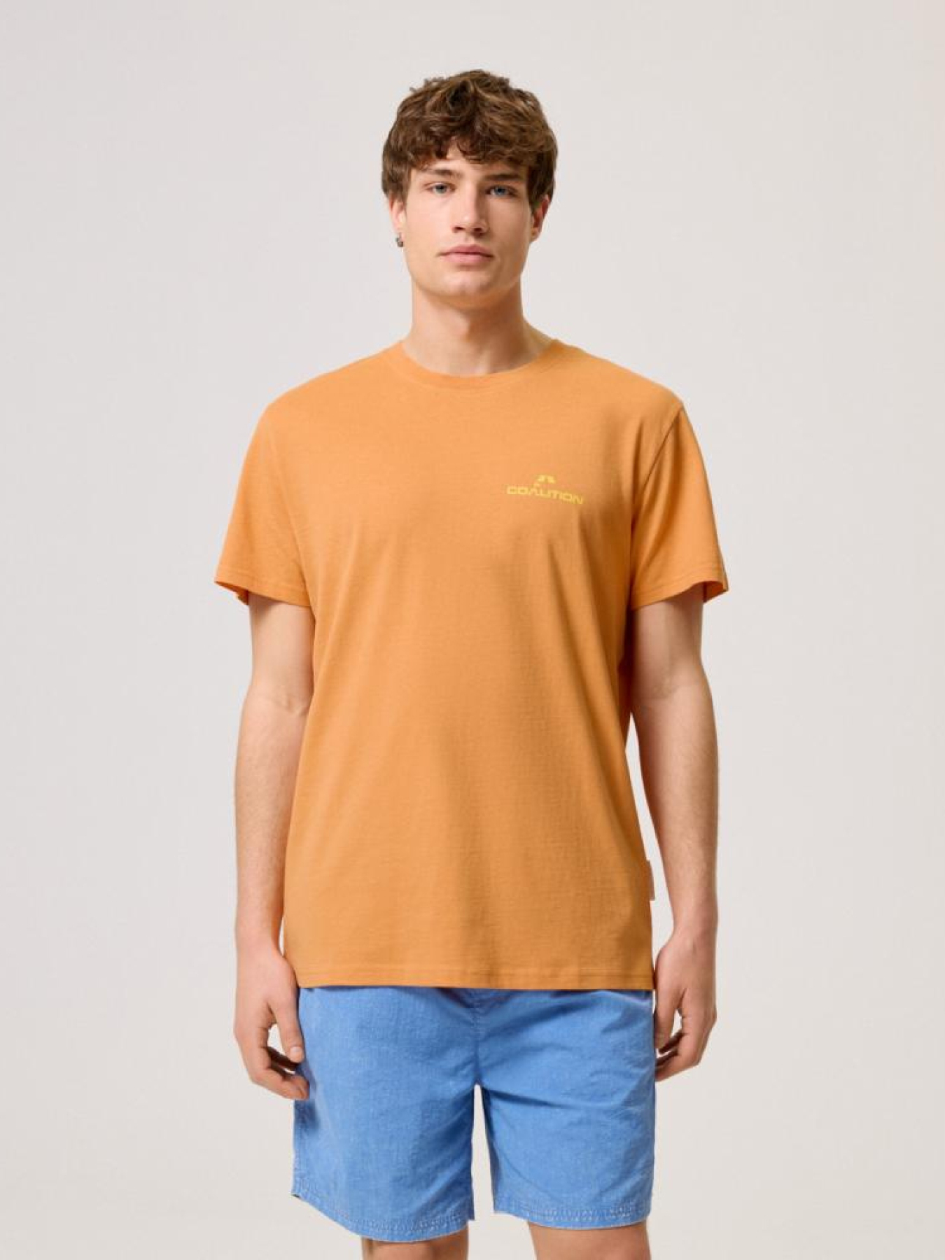 Футболка DIVERSE Cltn T 1624 модель 10044511 Фото