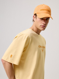 Футболка DIVERSE Cltn T 0824 модель 10044505 Фото