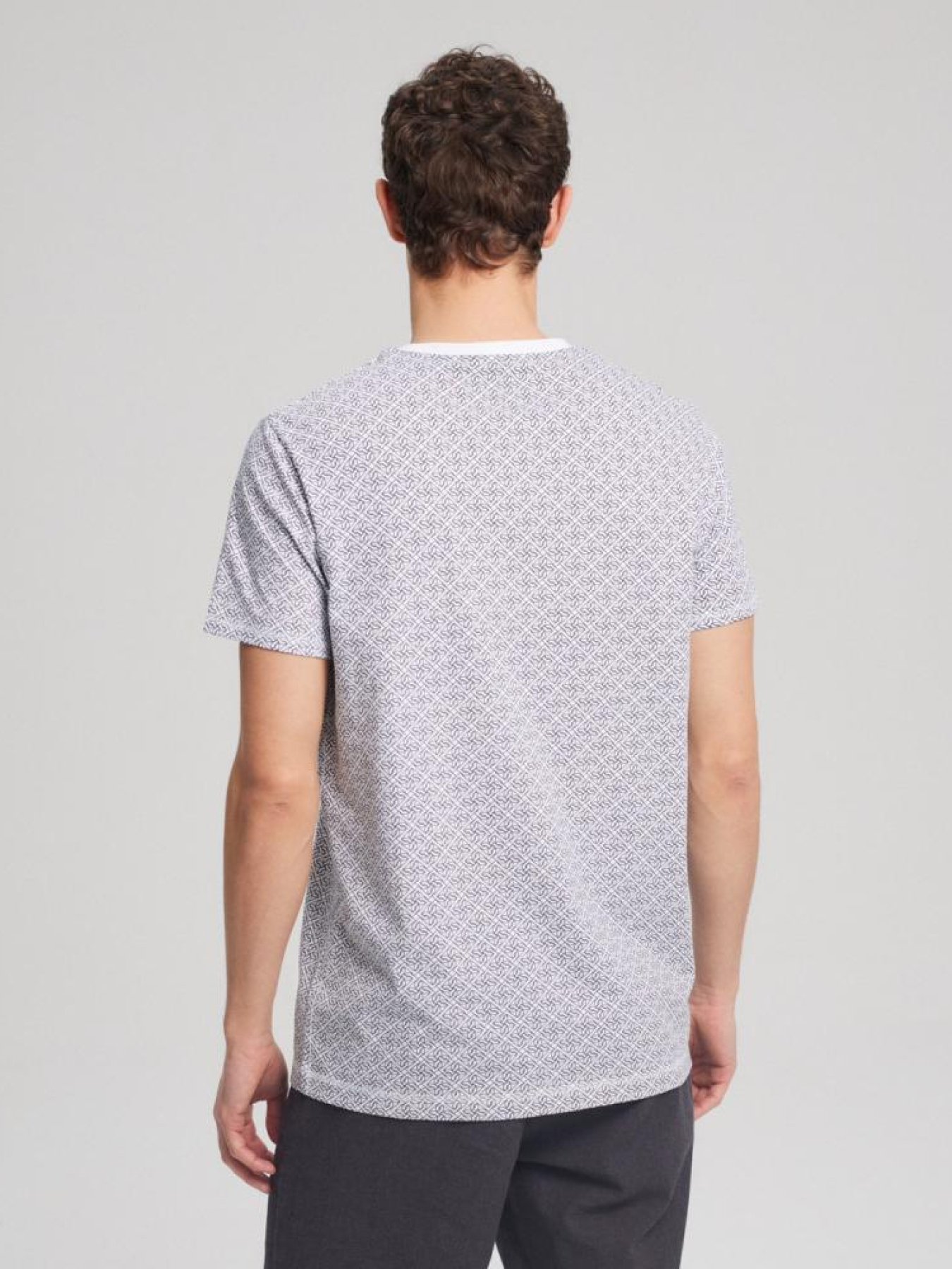 Футболка DIVERSE Prm 0424 Pt модель 10043961 Фото