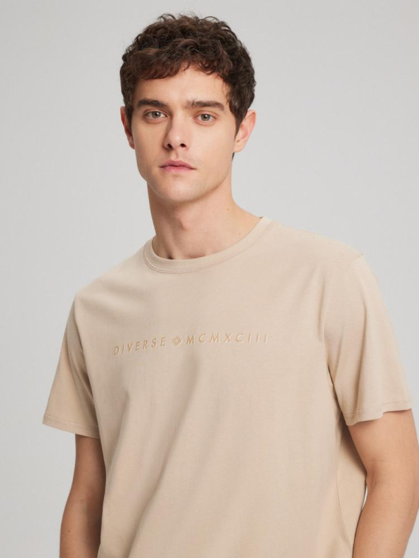 Футболка DIVERSE Prm Logo модель 10043960 Фото