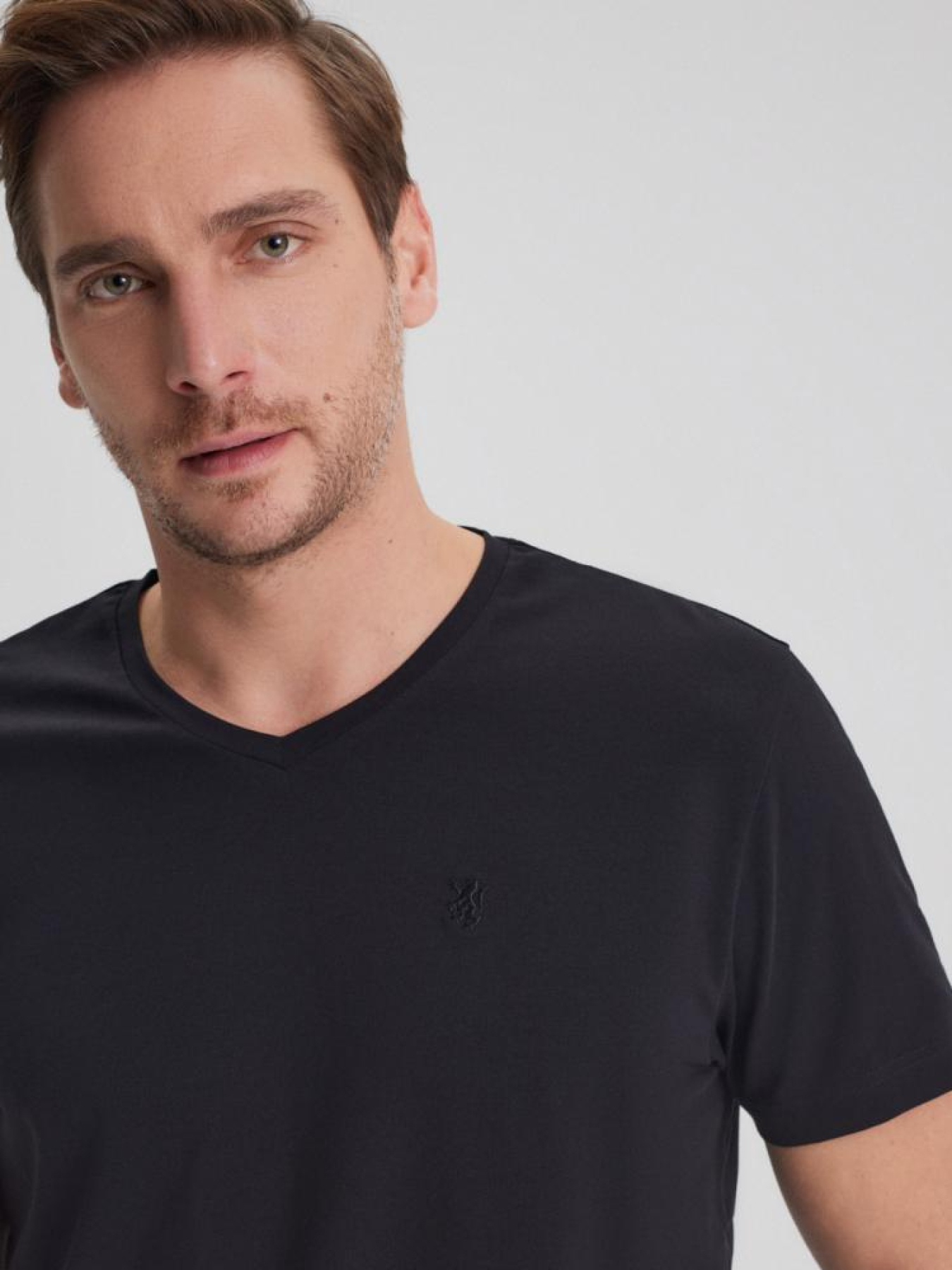 Футболка DIVERSE V Neck модель 10043940 Фото