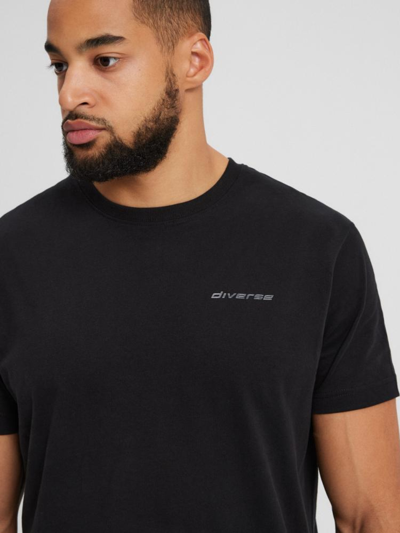 Футболка DIVERSE Core Logos 241 модель 10043639 Фото