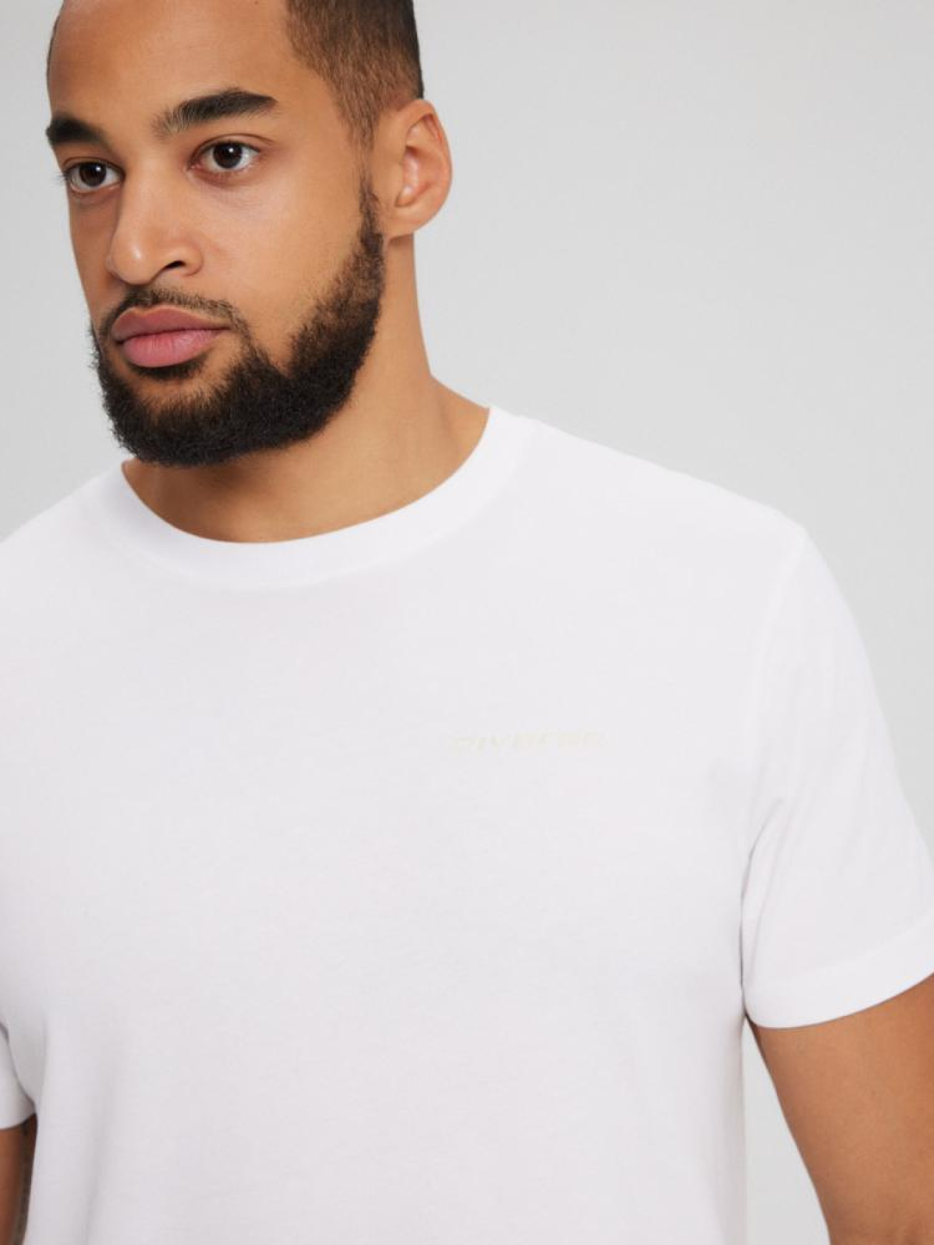 Футболка DIVERSE Core Logos 241 модель 10043639 Фото