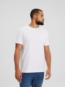 Футболка DIVERSE Core Logos 241 модель 10043639 Фото